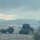 Hills and Trees