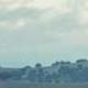 Hills and Trees