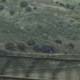 Train Trestle
